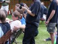 Cesfur09126.jpg
